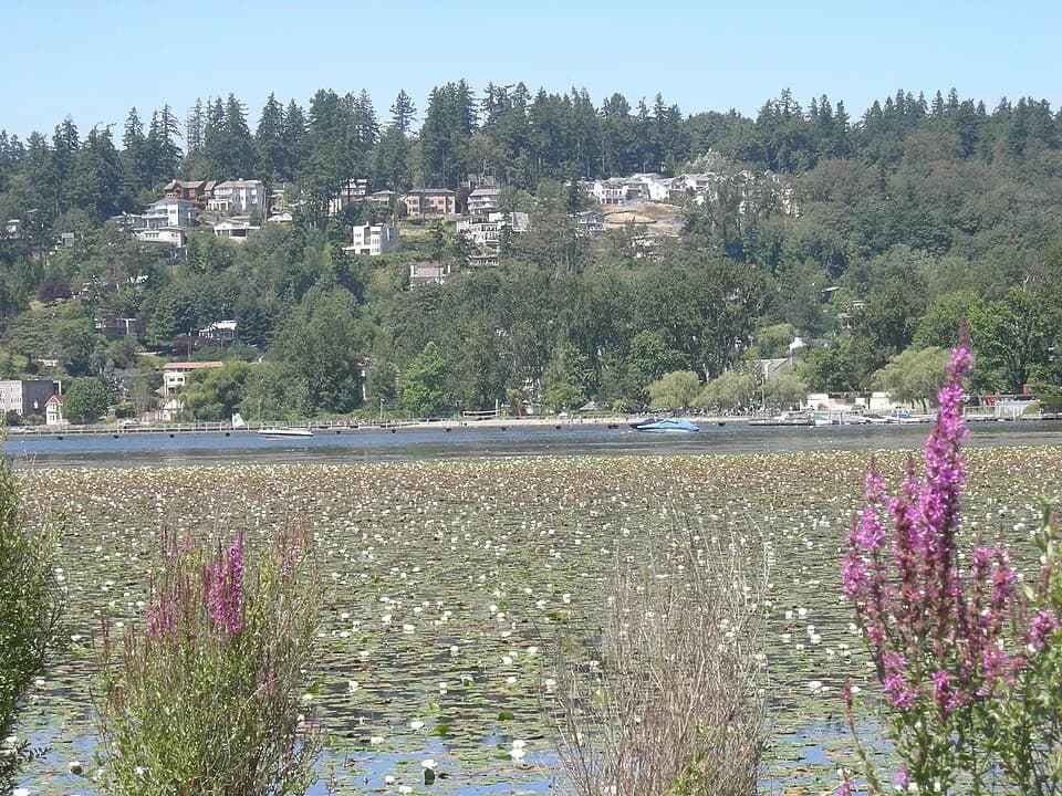 Juanita Beach Park across Juanita Bay, Kirkland