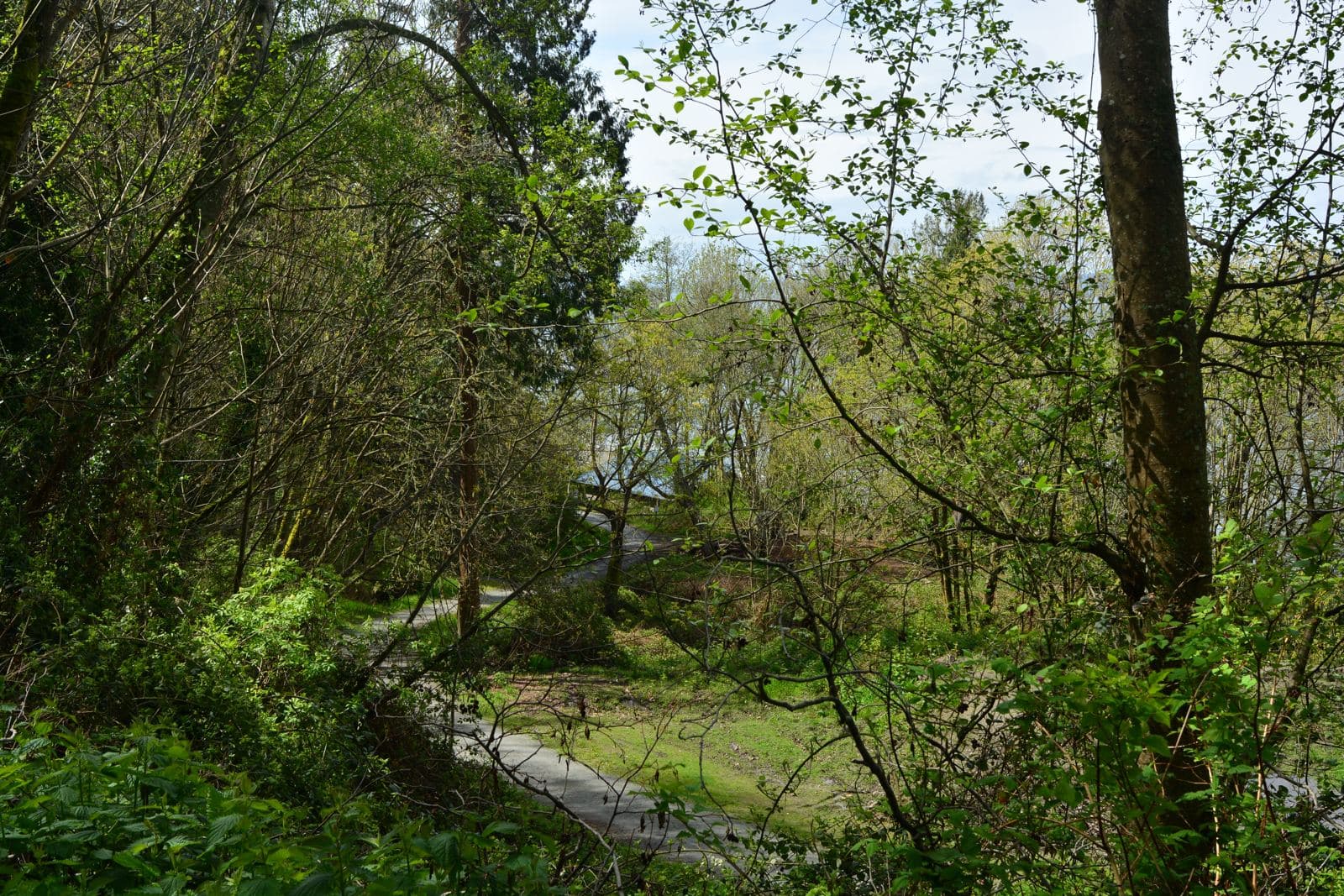 Seahurst Park trail in Burien