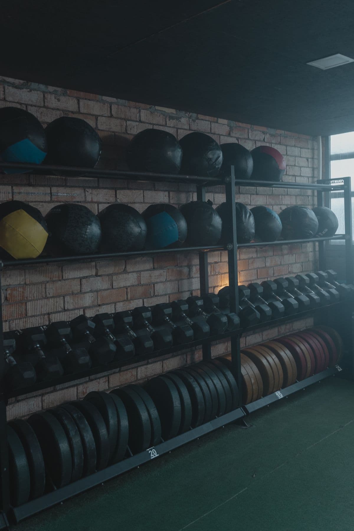 Dumbbells and medicine balls organized on compact storage racks